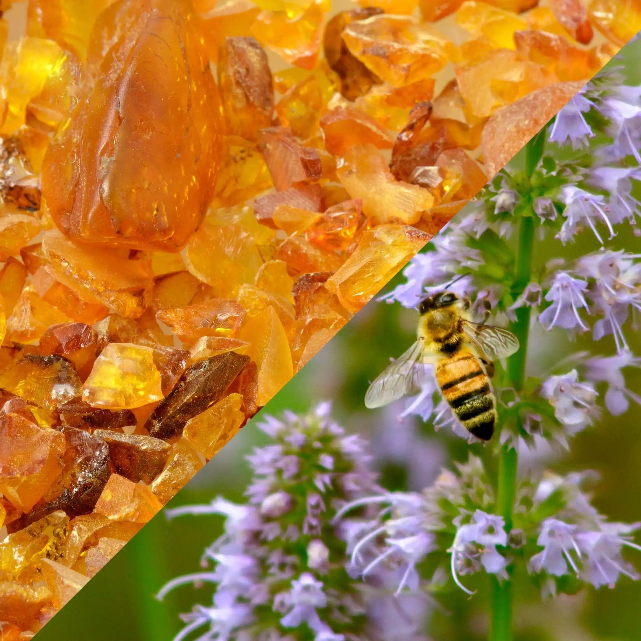 Ambre patchouli - Parfum pour bougie