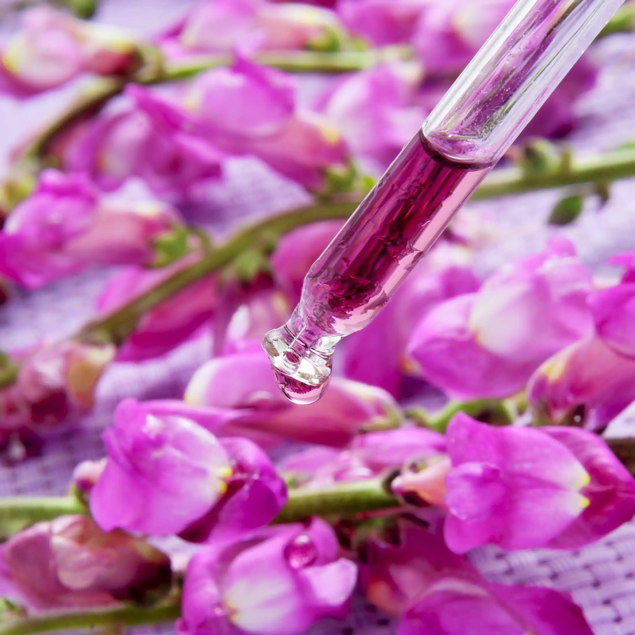 Elixir floral - Parfum pour bougie