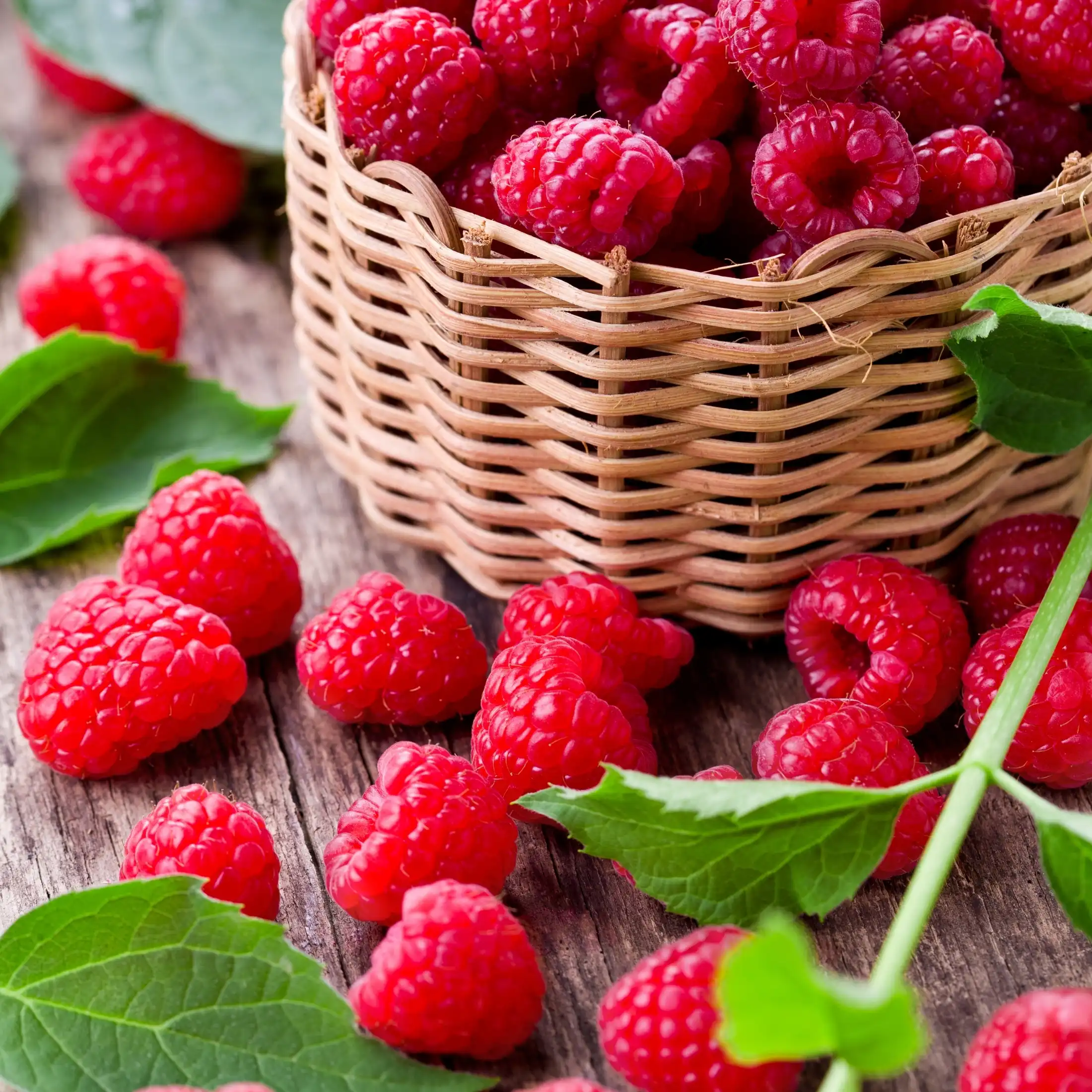 Framboise - Parfum pour bougie