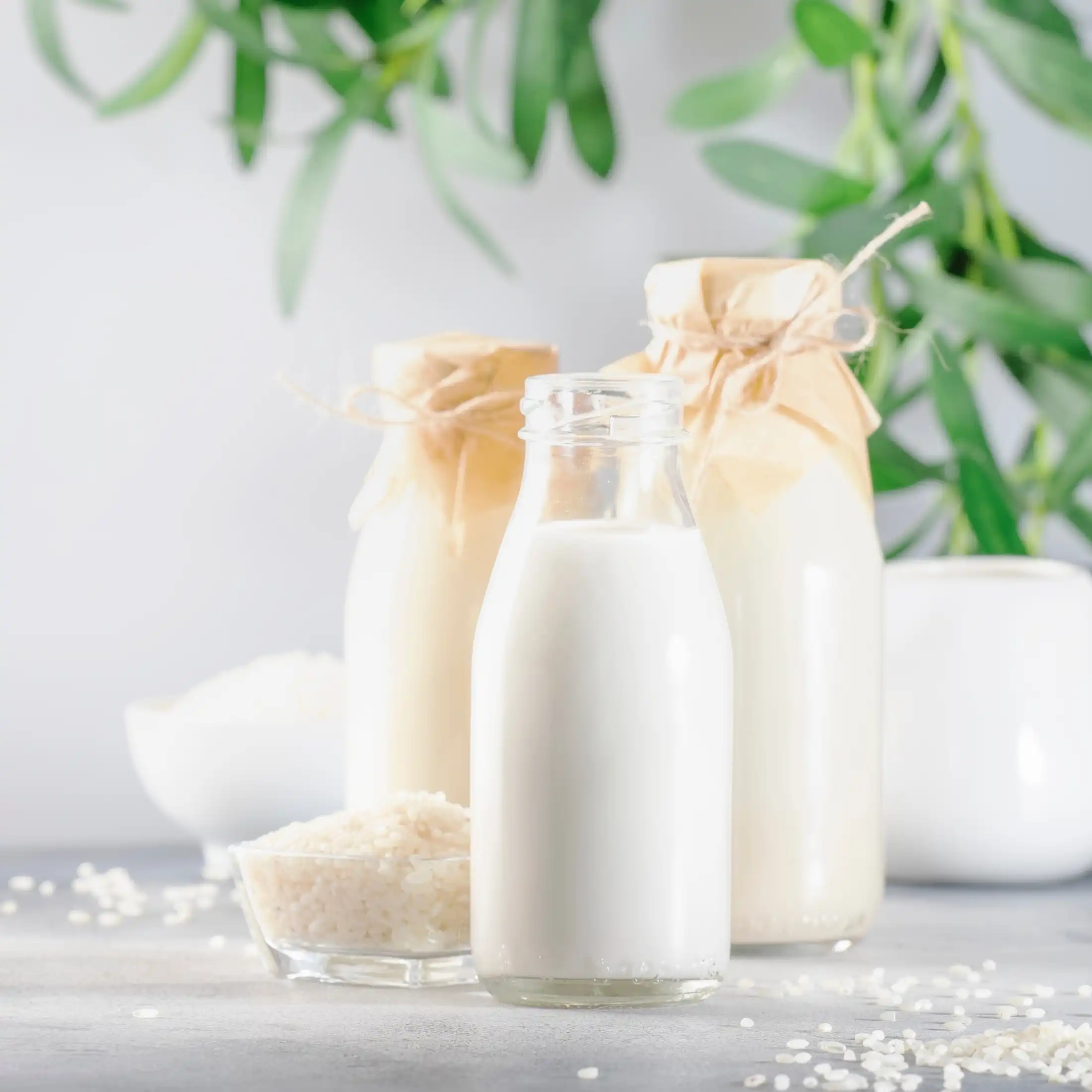 Lait de riz - Parfum pour bougie