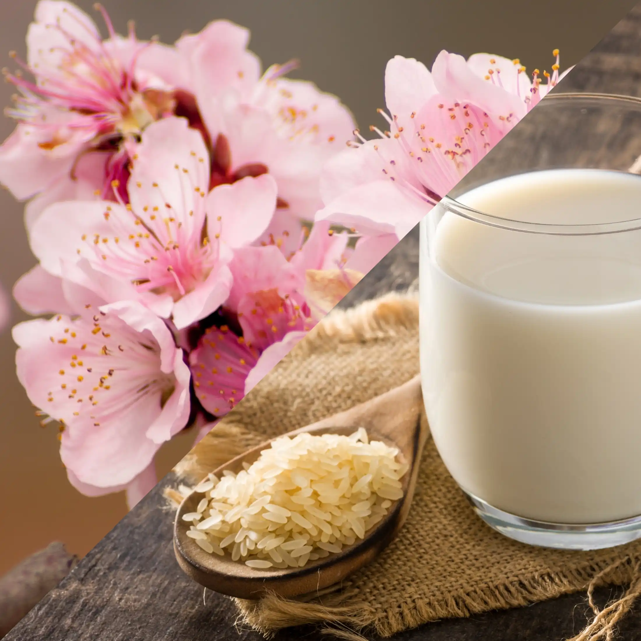 Lait de riz cerisier - Parfum pour bougie