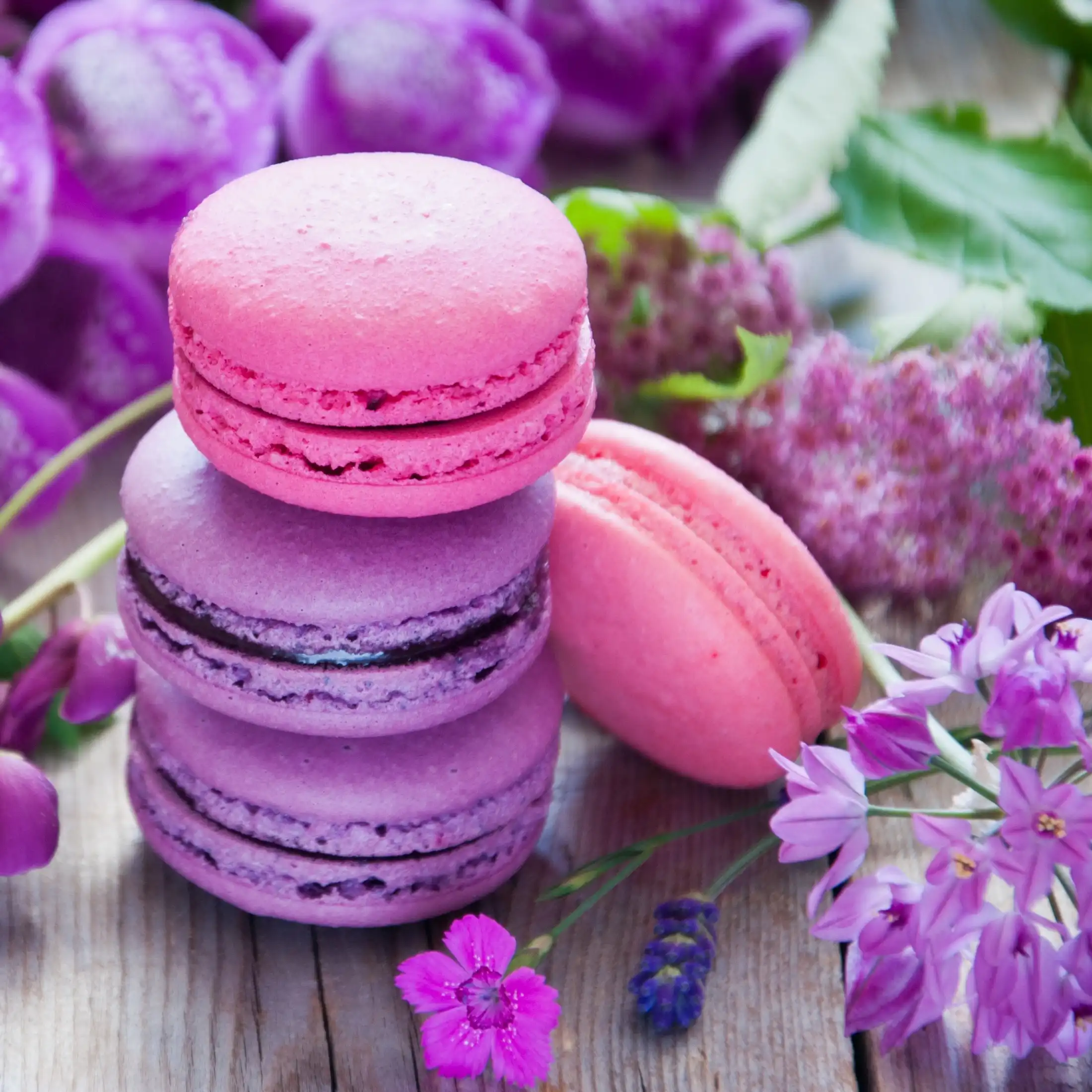 Macaron framboise et violette - Parfum pour bougie