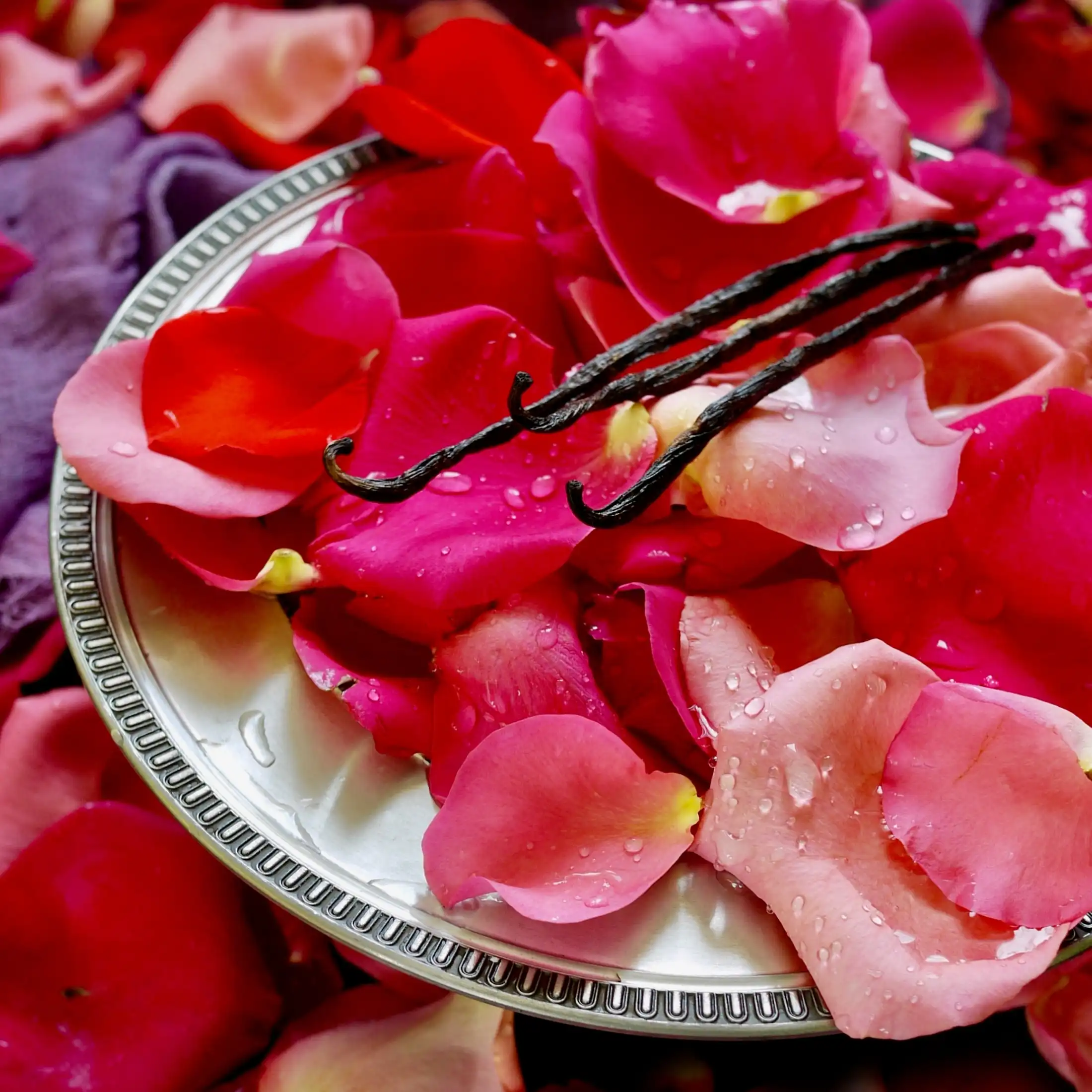 Rose vanillée - Parfum pour bougie